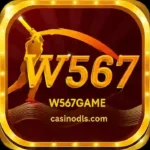 W567 Game