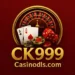 CK999 game